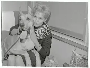 Portrait of Kim Novak and her Dog