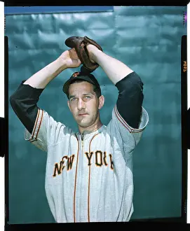 Phoenix Prints: Portrait of Larry Jansen