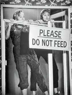 Portrait of Lucille Ball and Vivian Vance