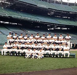 Portrait of Minnesota Twins Baseball Team