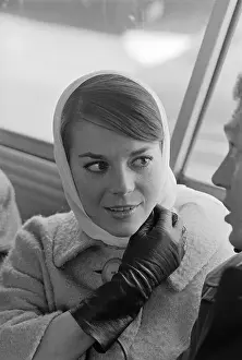 Portrait of Natalie Wood
