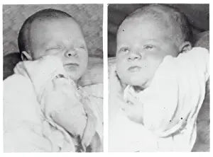 Portrait of Newborn Twins