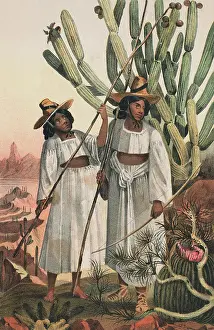 Portrait of Papago Indians
