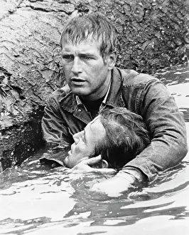 Portrait of Paul Newman and Richard Jaeckel