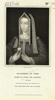 Portrait of Queen Elizabeth of York Holding Flower