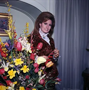Portrait of Raquel Welch
