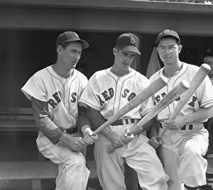 Portrait of Red Sox Players