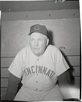 Portrait of Rogers Hornsby The Cincinnati Reds Manager