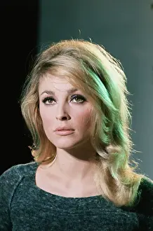 Portrait of Sharon Tate