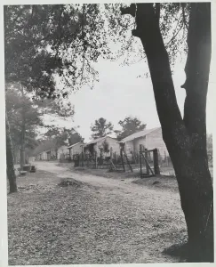 Shack Prints: Portrait of Small Houses