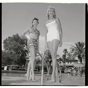 Portrait of Tall Women