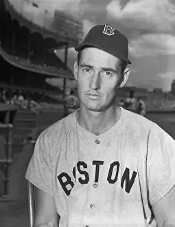 Portrait of Ted Williams