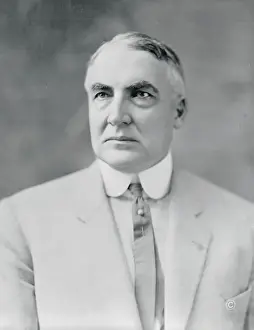 Harding Prints: Portrait of Warren G. Harding