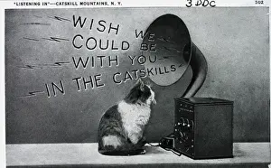 Gramophone Prints: Postcard of Cat Listening to Gramophone
