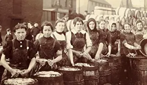 Apron Prints: Postcard Of Women Packing Fish