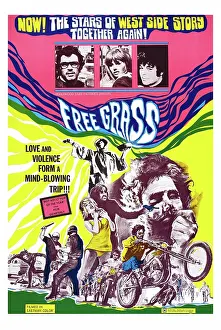 Arc0010216 Prints: Poster For Free Grass