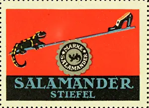 Shoes Prints: Poster stamp Salamander boots