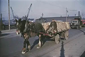 Driver Prints: Potato Cart