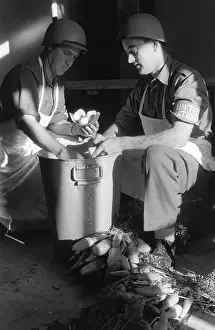 Vegetables Prints: Potato Peelers