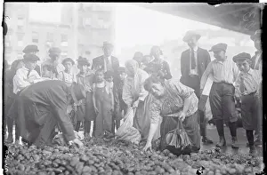 Caring Prints: Potatoes for New York's Poor
