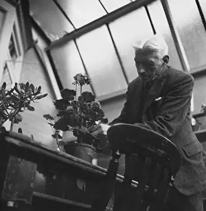 Greenhouse Prints: Potting Geraniums
