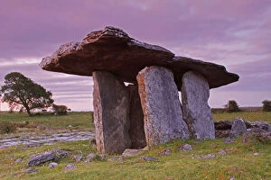 Images Dated 10th April 2016: Poulnabrone Portal Dolmen In The Burren Region