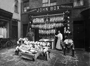 Poultry And Fish