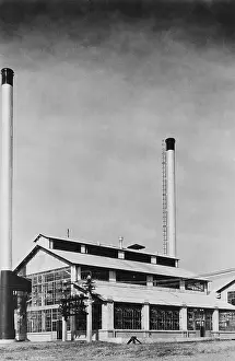 Power Plant Prints: Power Plant with Two Smokestacks