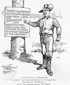 A Practical Forester Political Cartoon by George W. Rehse
