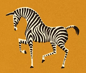 Prancing Zebra