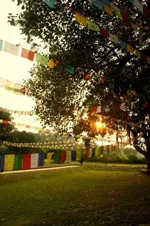 Prayer Flag Prints: Prayer flags at sunset in Lumbini