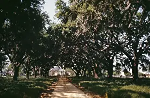 1800s Prints: A Pre Civil War Plantation House