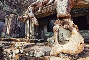 Fig Tree Prints: Preah Khan temple covered by strangler fig tree