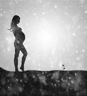 Images Dated 13th October 2013: Pregnancy