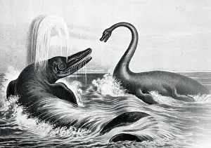 Prehistoric Creatures in Water