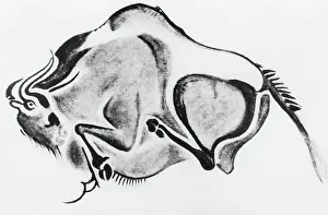 Prehistoric Drawing of a Bison
