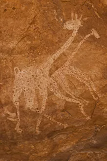Sahara Desert Landscapes Gallery: Prehistoric Petroglyphs in libian sahara desert