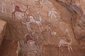 Sahara Desert Landscapes Gallery: Prehistoric petroglyphs in libian Sahara desert