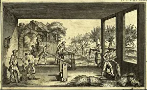 Harvest Prints: Preparing Flax