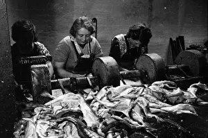 Preparing Haddock