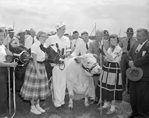 Springfield Prints: President Eisenhower Looking Over Animals