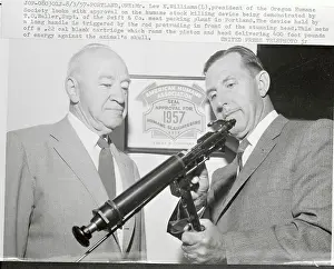 Portland Prints: President of Humane Society Inspecting Stock Killing Device