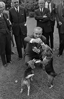 President Johnson Feeding his Beagles