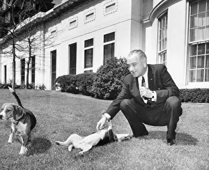 Squatting Prints: President Johnson With Pet Beagles