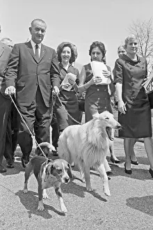 Collie Prints: President Johnson Walking Dogs
