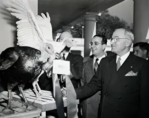 Alive Prints: President Truman Presented With Turkeys