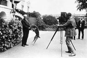 Harding Prints: President Warren Harding and His Dog