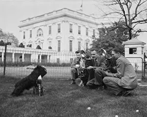 Presidential Pet Scottie Photographed