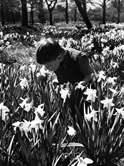 Inspecting Prints: Pretty Flowers