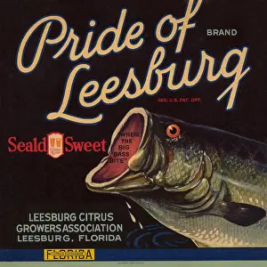 Bass Prints: Pride of Leesburg Brand